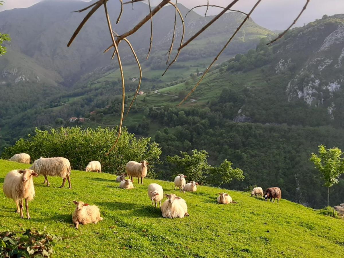 Hotel Rural El Rexacu Bobia de Arriba Екстериор снимка