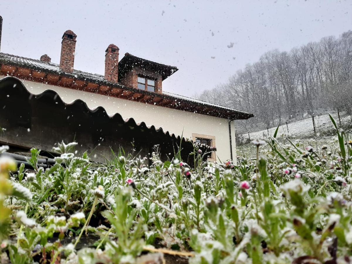 Hotel Rural El Rexacu Bobia de Arriba Екстериор снимка